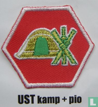 Vaardigheidsinsigne Uitdagende Scouting Technieken - Kamp en pionieren (Verdiepingsfase)