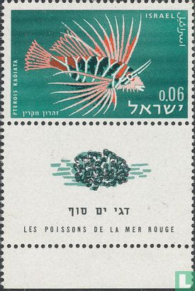 Vissen uit de Rode Zee - Afbeelding 2