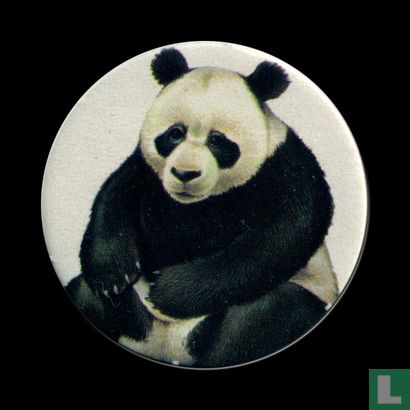 Reuze Panda - Afbeelding 1