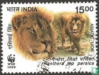 Lion persane