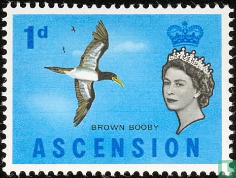 La Reine Elizabeth II - Oiseaux