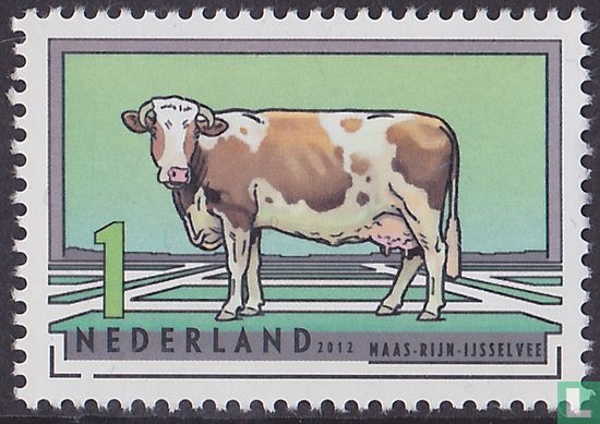 Niederländische Rinderrassen