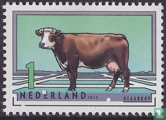 Dutch Cattle Breeds