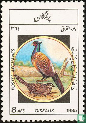 Oiseaux