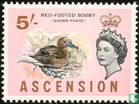 Königin Elizabeth II. - Vögel