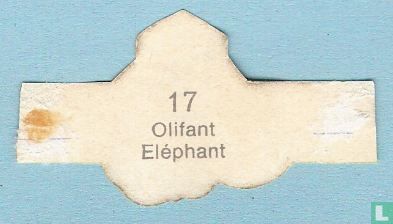Olifant - Afbeelding 2