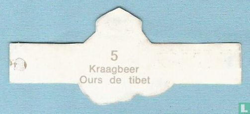 Kraagbeer - Image 2