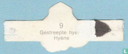 Gestreepte Hyena - Image 2