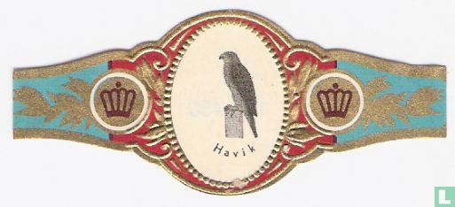Havik - Afbeelding 1