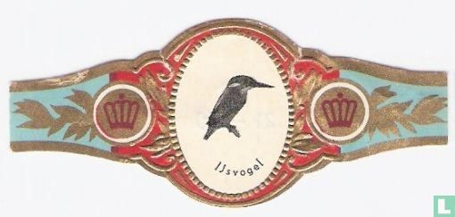 IJsvogel - Image 1