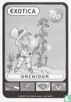 Orchidor - Bild 1