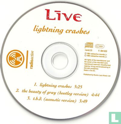 Lightning crashes - Image 3