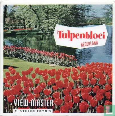 Tulpenbloei Nederland - Bild 1