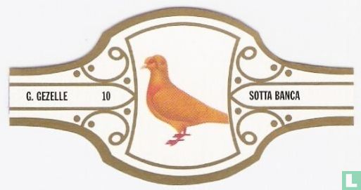 Sotta Banca - Image 1