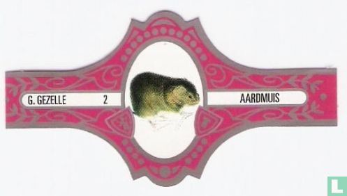Aardmuis - Image 1