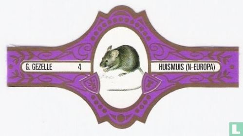 Huismuis (N-Europa) - Image 1