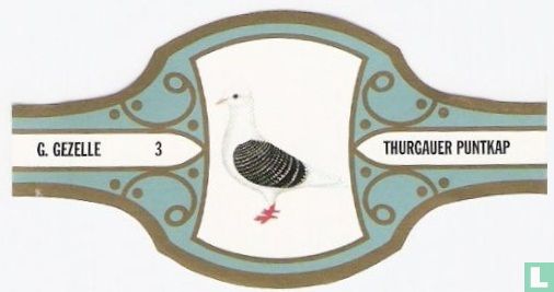 Thurgauer Puntkap - Image 1