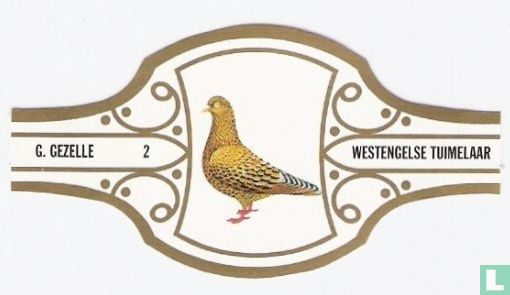 Westengelse Tuimelaar - Image 1