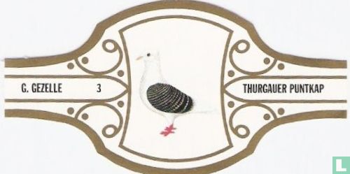 Thurgauer Puntkap - Image 1