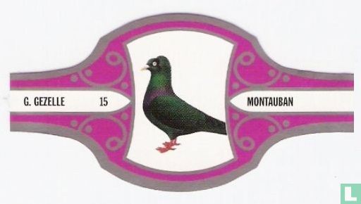 Montauban - Bild 1