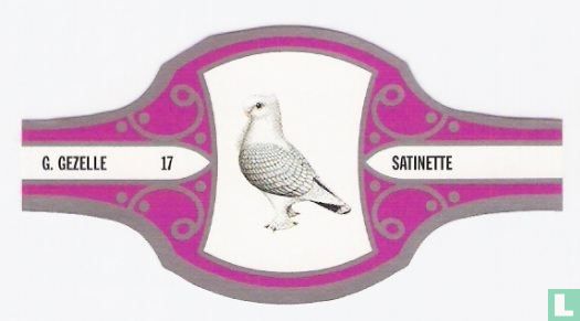 Satinette - Image 1
