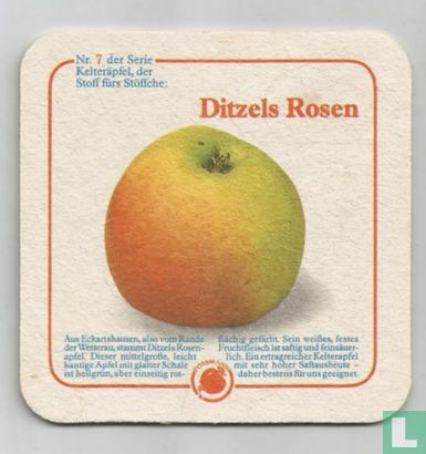 Ditzels Rosen / Frau Rauscher - Afbeelding 1