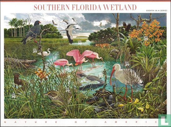 Florida Wetlands  