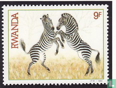 Zebra en kafferbuffels    