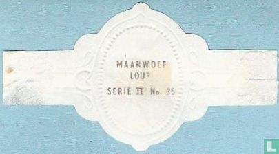 Maanwolf - Image 2