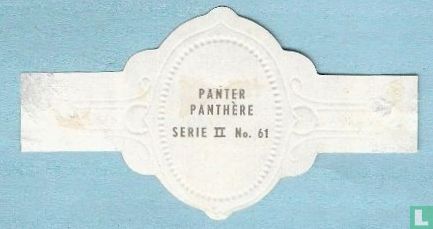 Panter - Image 2