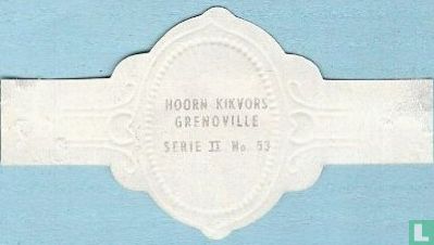 Hoorn Kikvors - Image 2