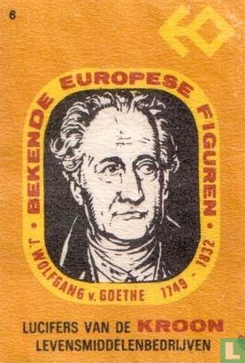 Wolfgang v Goethe  1749  1832