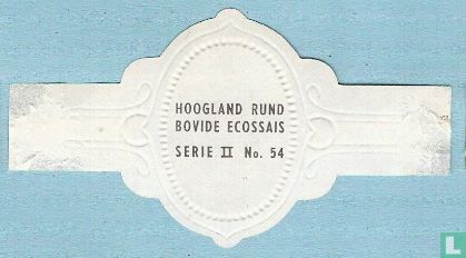 Hoogland Rund - Image 2