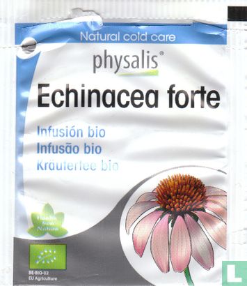 Echinacea forte - Image 2