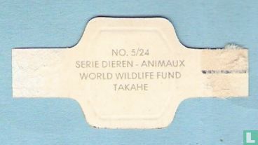 Takahe - Image 2