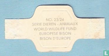 Europese Bison - Image 2