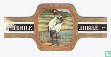 Japanse Kraanvogel - Image 1