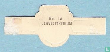 Clavecitherium - Image 2