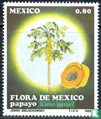 Mexican Flora