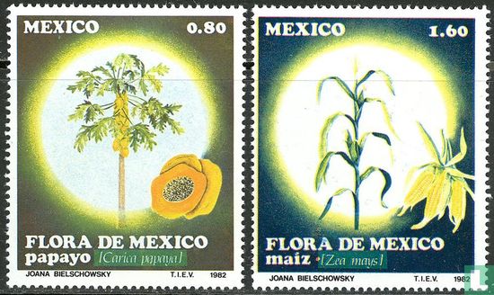 Mexican Flora 