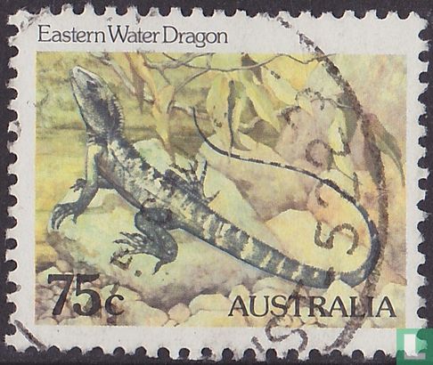Australian water dragon