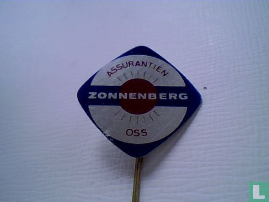 Assurantien Zonnenberg Oss