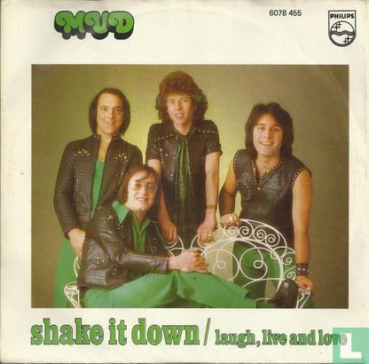 Shake It Down - Afbeelding 1