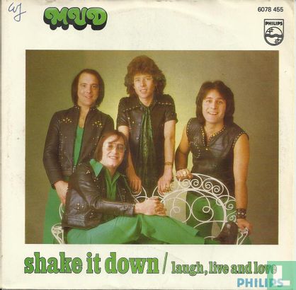Shake It Down - Afbeelding 2