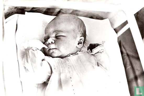 Prins Willem-Alexander - Image 1