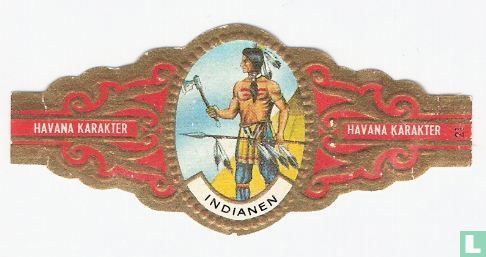 Navaho-krijger - Afbeelding 1