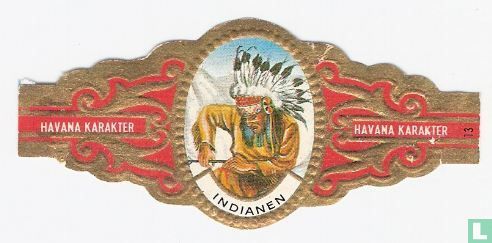 Gewonde Sioux indiaan - Afbeelding 1