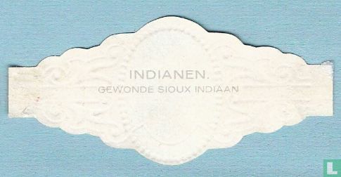 Gewonde Sioux indiaan - Image 2
