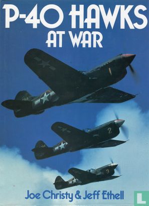 P-40 Hawks at war - Afbeelding 1