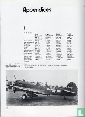 P-40 Hawks at war - Afbeelding 3